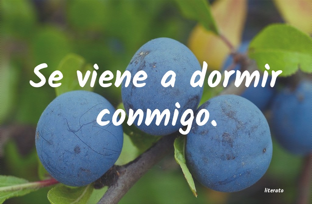 frases