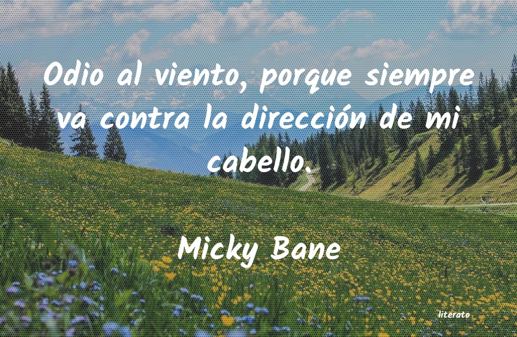 Frases de Micky Bane