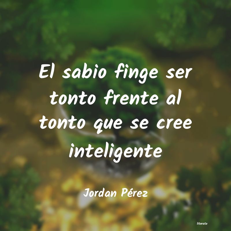 soy tonto