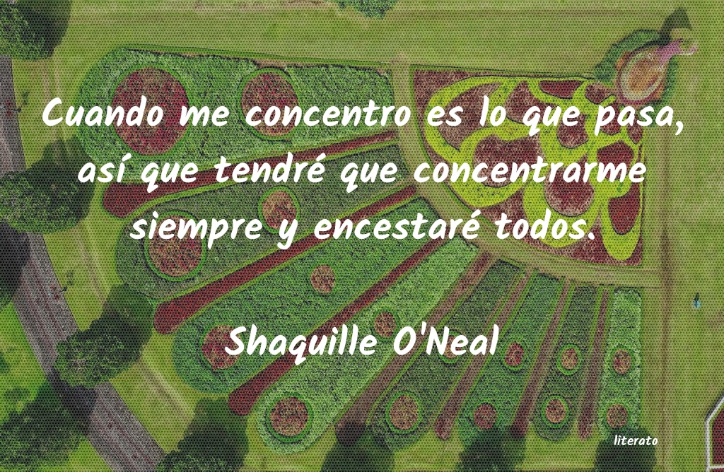 Frases de Shaquille O'Neal