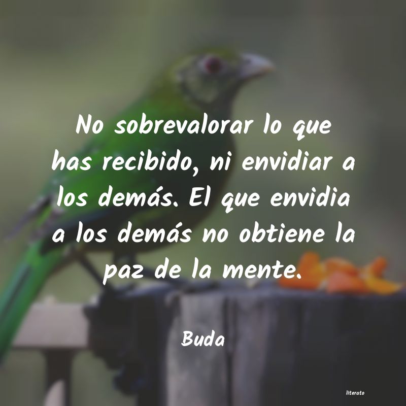 Frases de Buda