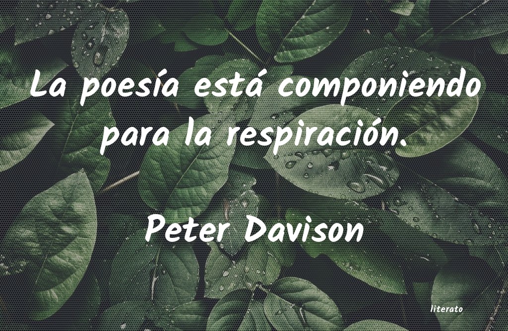 Frases de Peter Davison