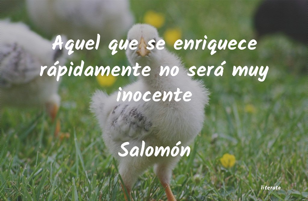 frases de Salomón