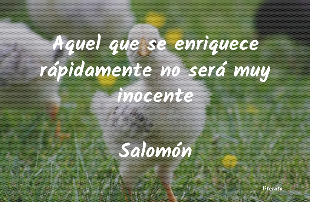 Frases de Salomón