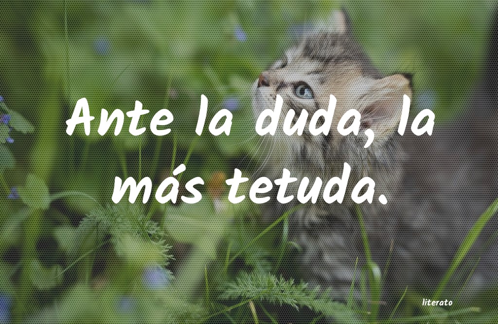 frases