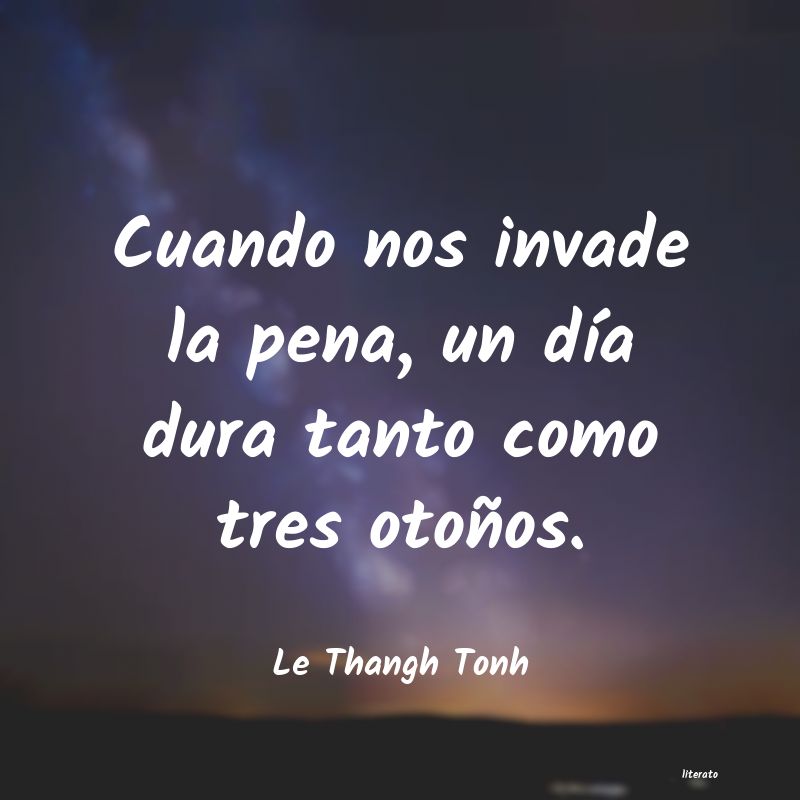 Frases de Le Thangh Tonh