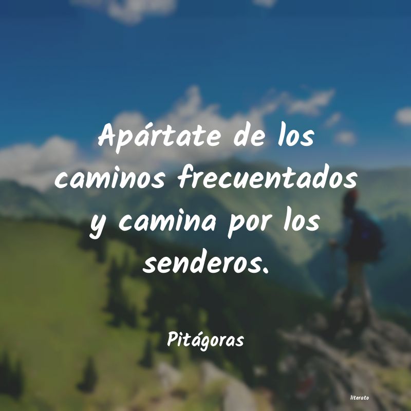 frases de caminos diferentes