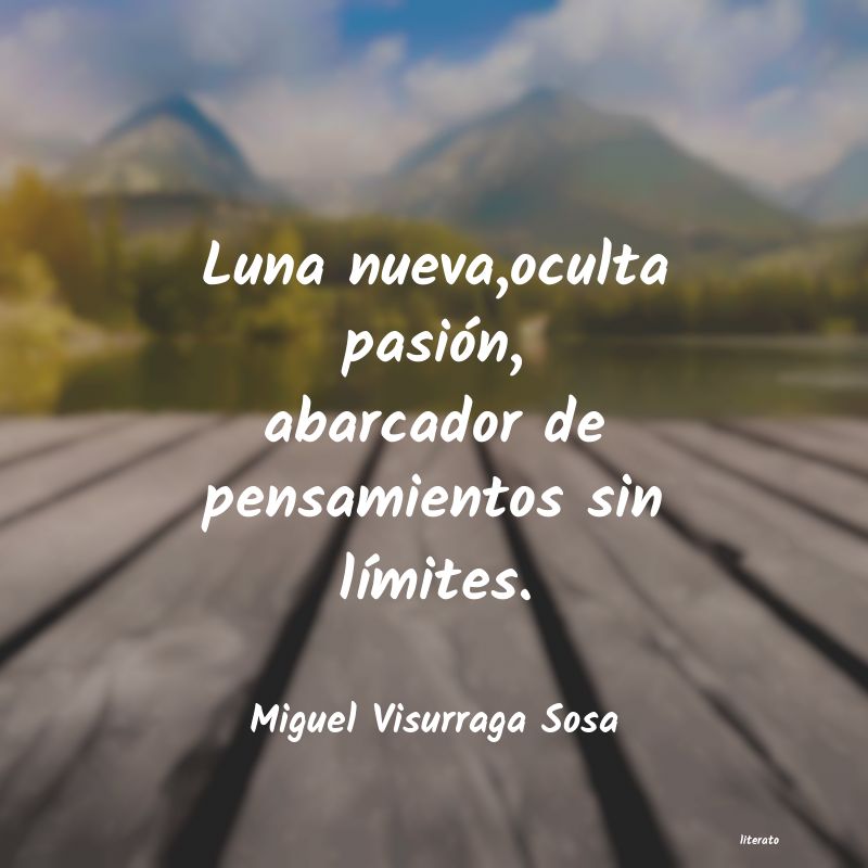 frases de Miguel Visurraga Sosa