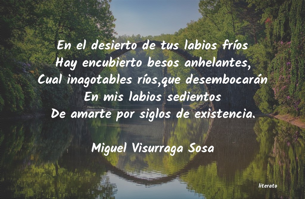 Frases de Miguel Visurraga Sosa