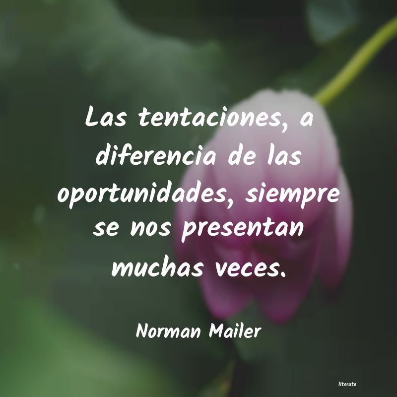 Frases de Norman Mailer