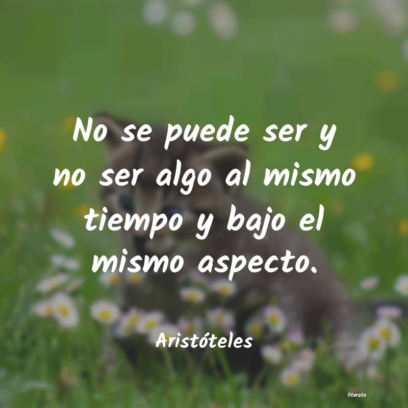 frases de Aristóteles