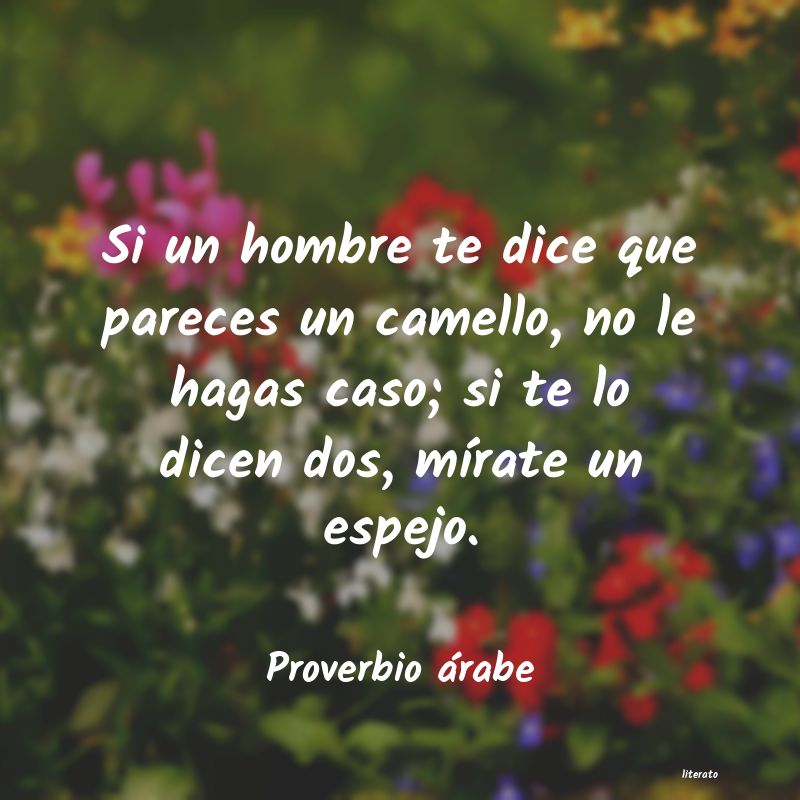 Frases de Proverbio árabe