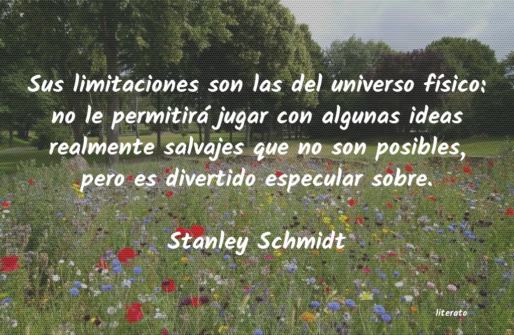 Frases de Stanley Schmidt