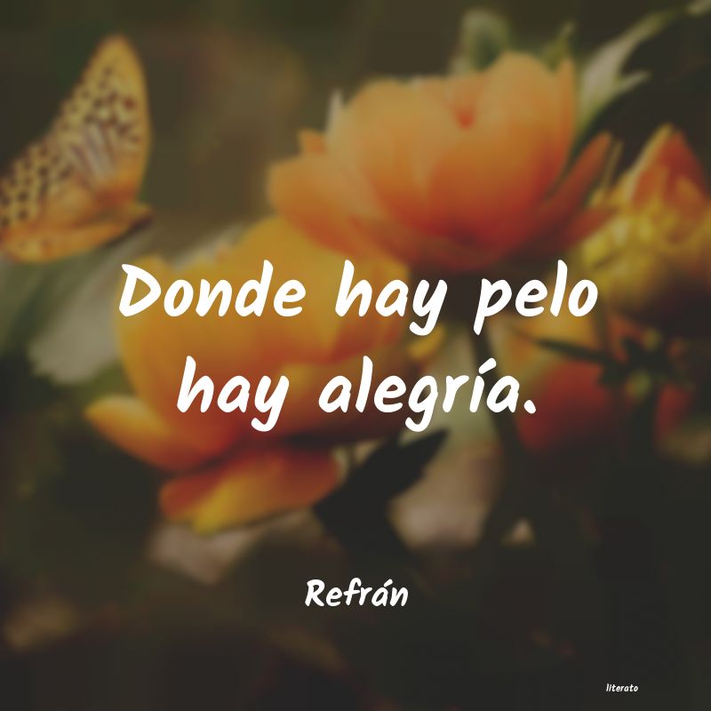 frases de Refrán