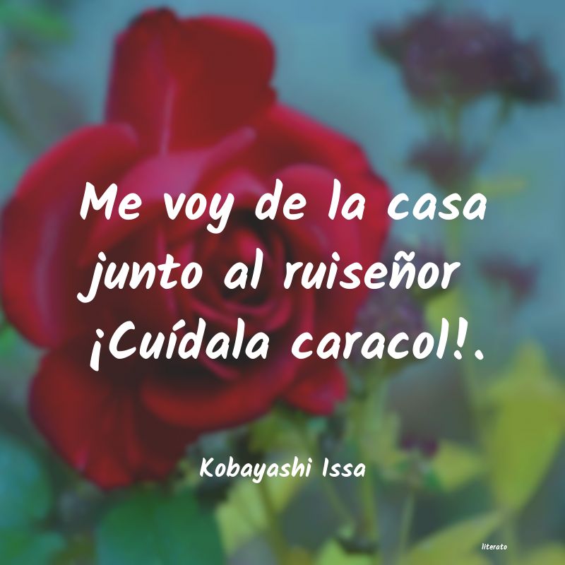 frases de Kobayashi Issa