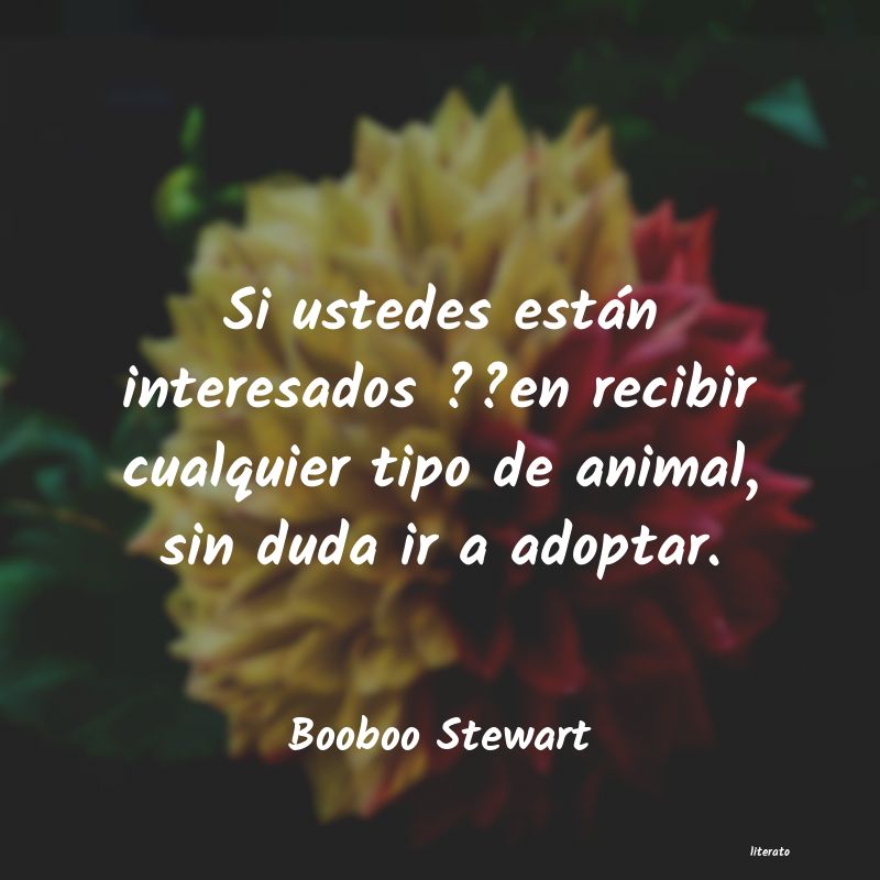 frases de Booboo Stewart