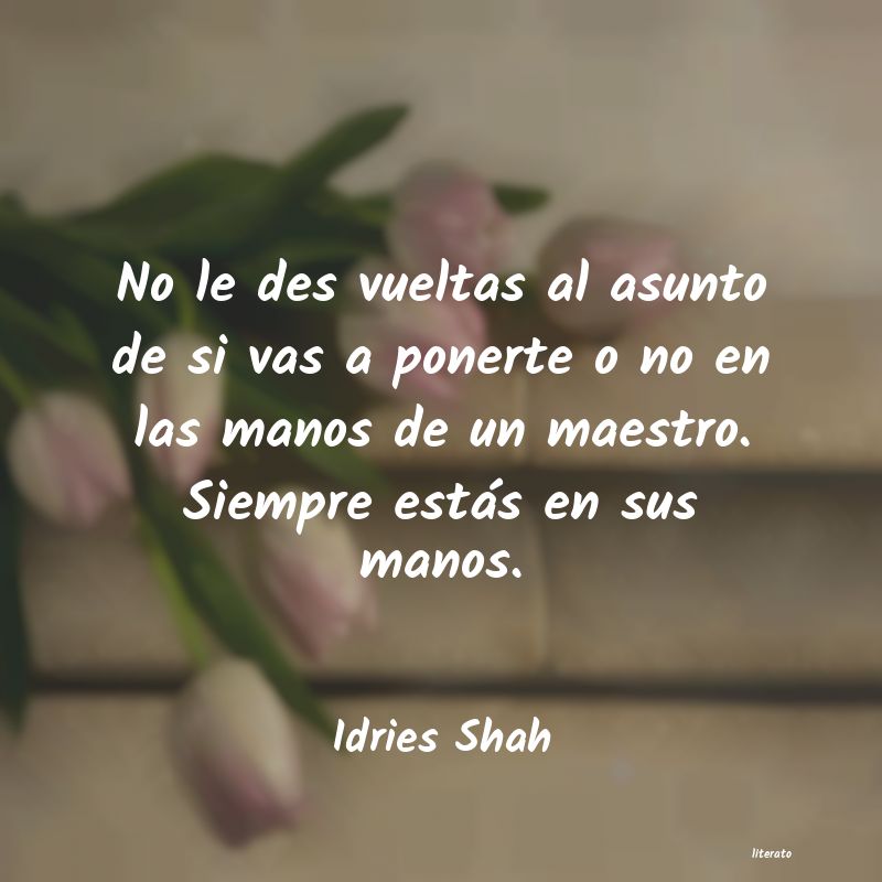 Frases de Idries Shah