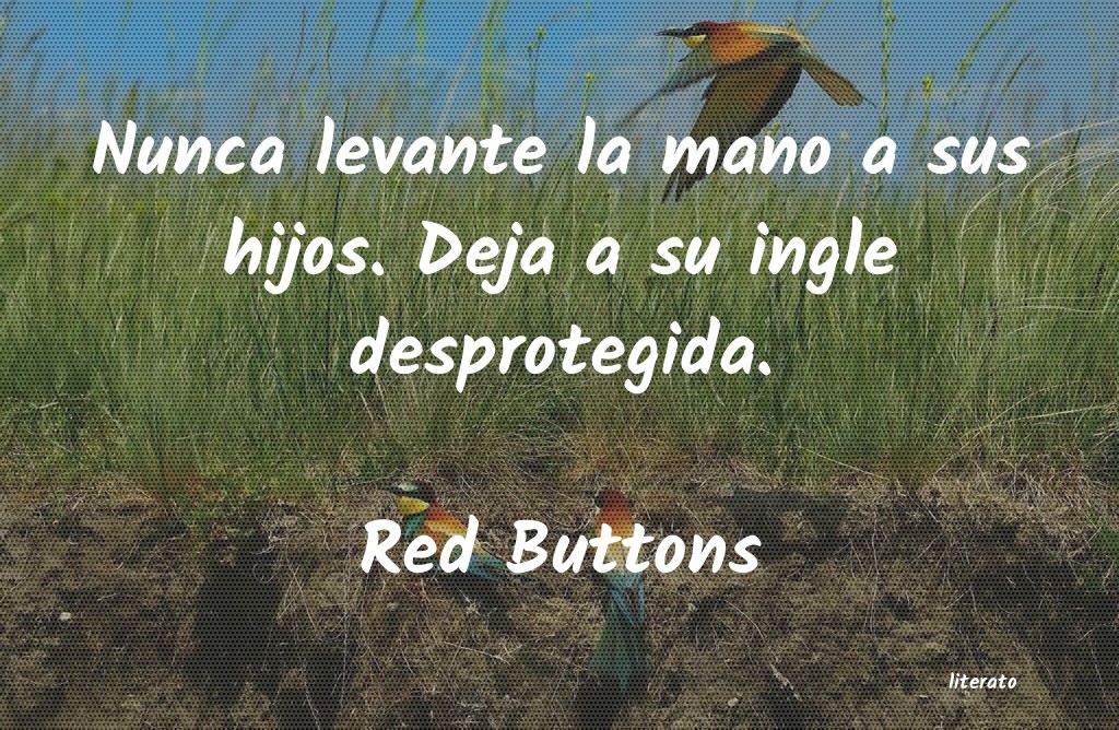 frases de Red Buttons