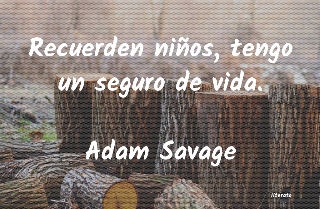 Frases de Adam Savage