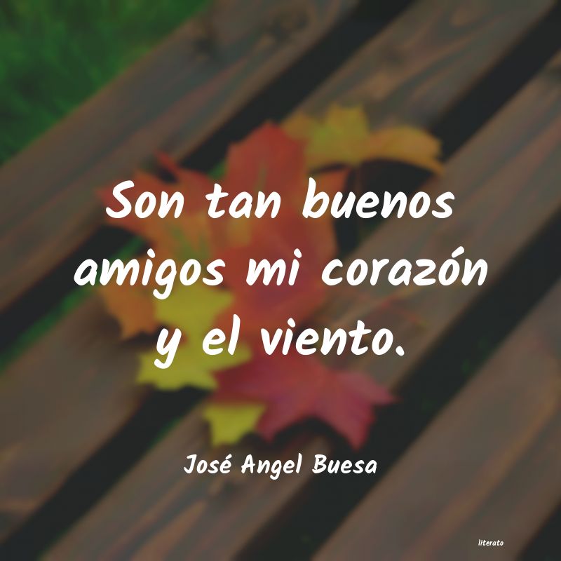 Frases de José Angel Buesa