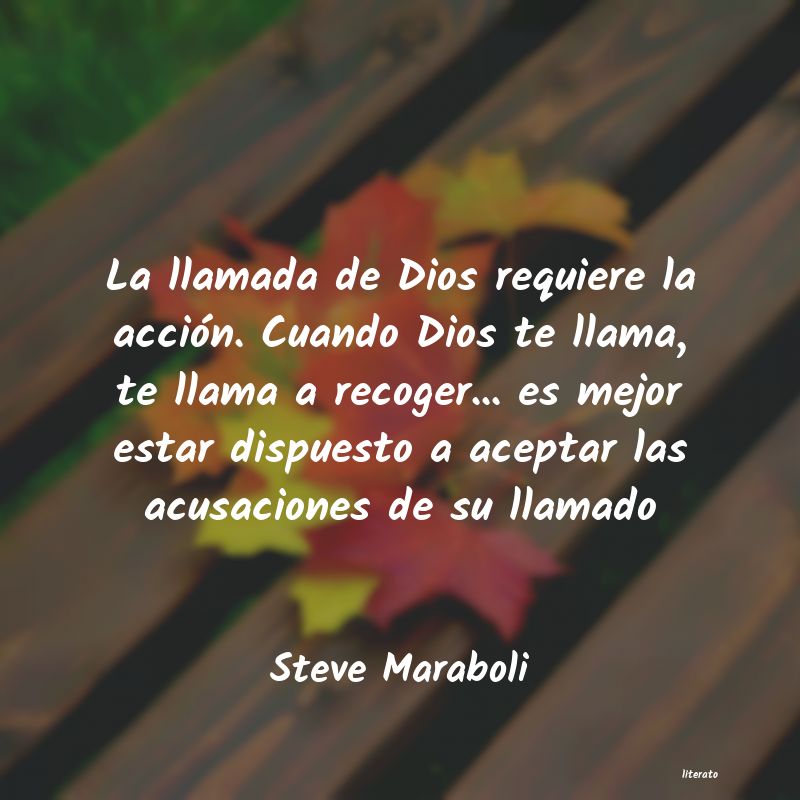 Frases de Steve Maraboli