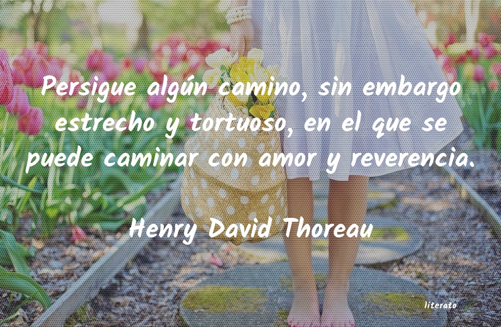 Frases de Henry David Thoreau