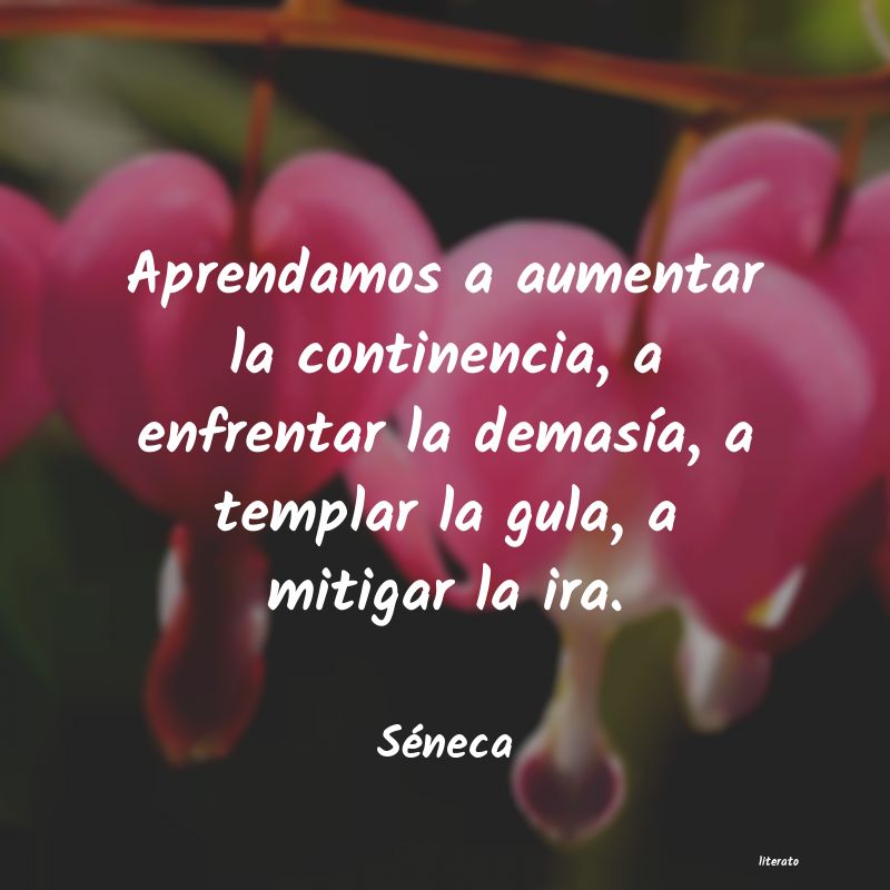 frases de Séneca