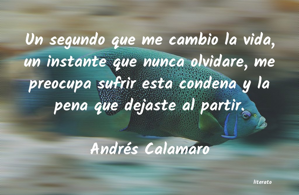 Frases de Andrés Calamaro