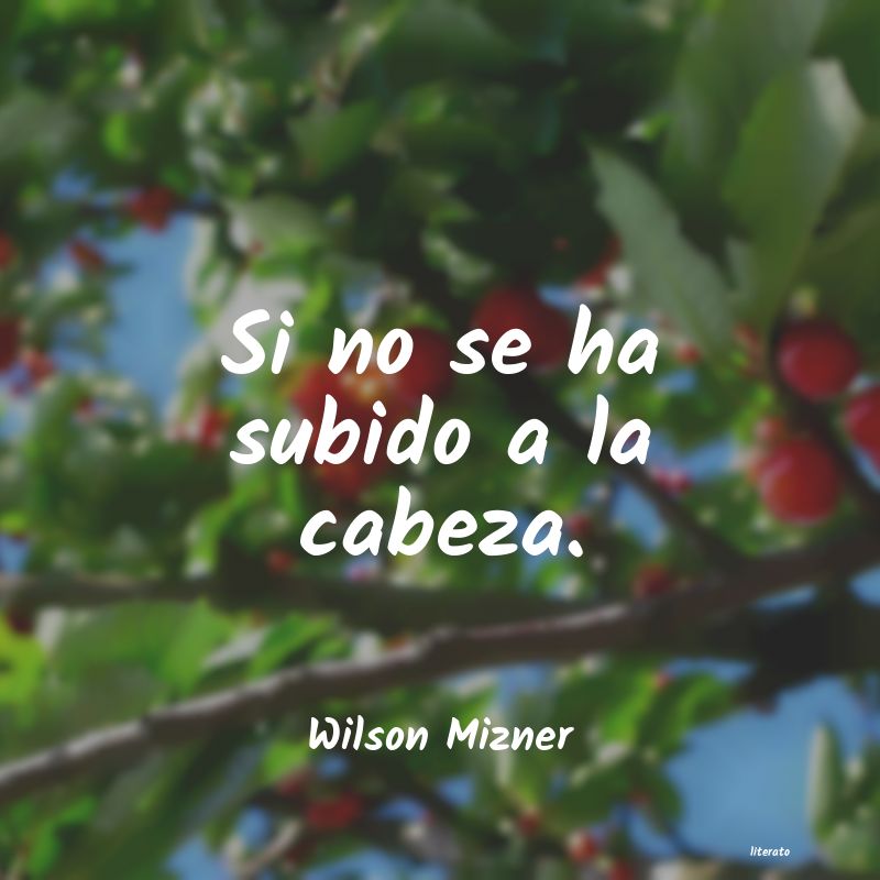 Frases de Wilson Mizner