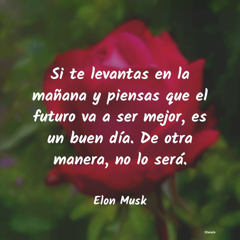 frases de Elon Musk
