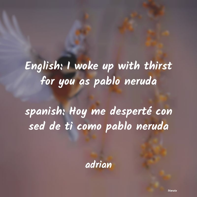 Frases de adrian