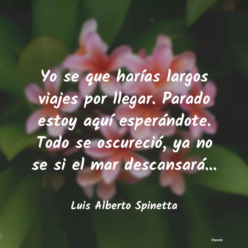 Frases de Luis Alberto Spinetta