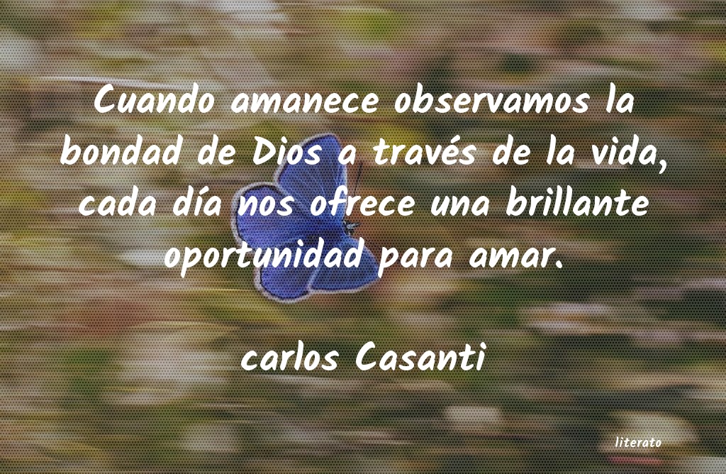 Frases de carlos Casanti