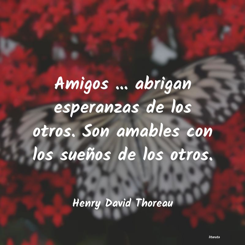 Frases de Henry David Thoreau