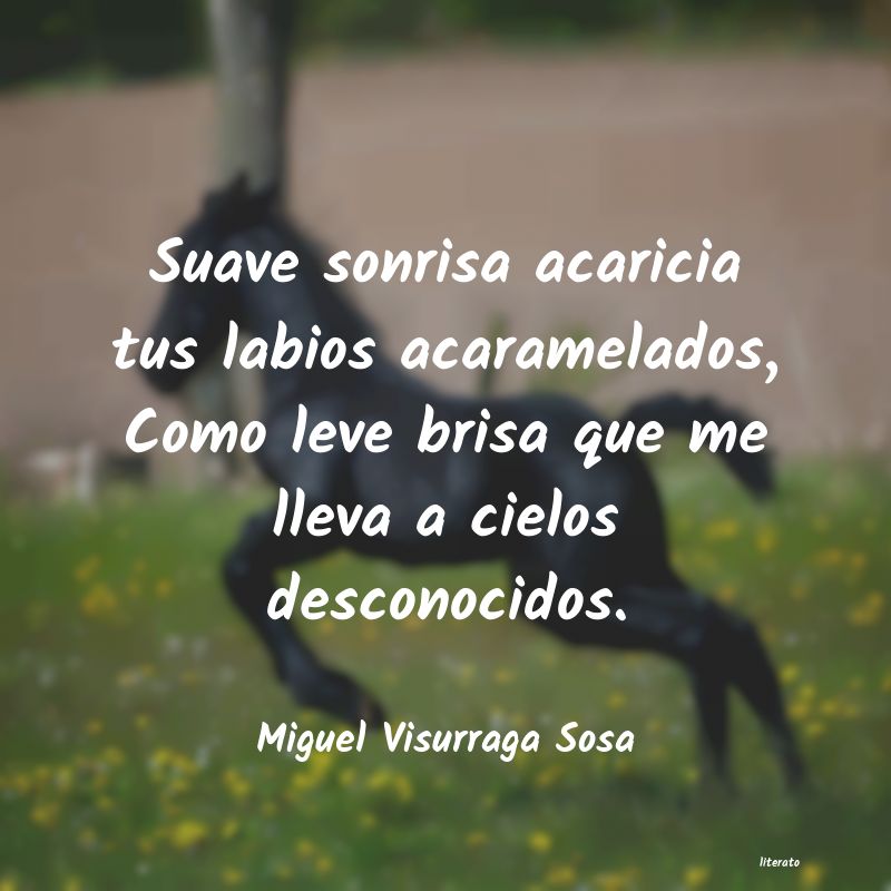 Frases de Miguel Visurraga Sosa