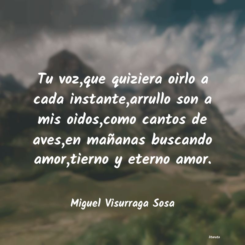 frases de Miguel Visurraga Sosa