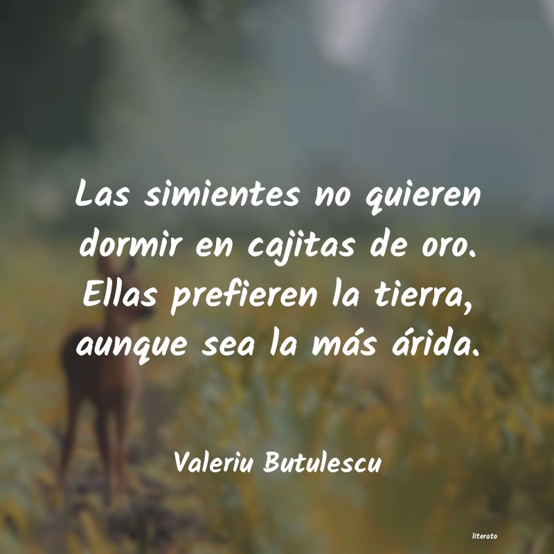 Frases de Valeriu Butulescu