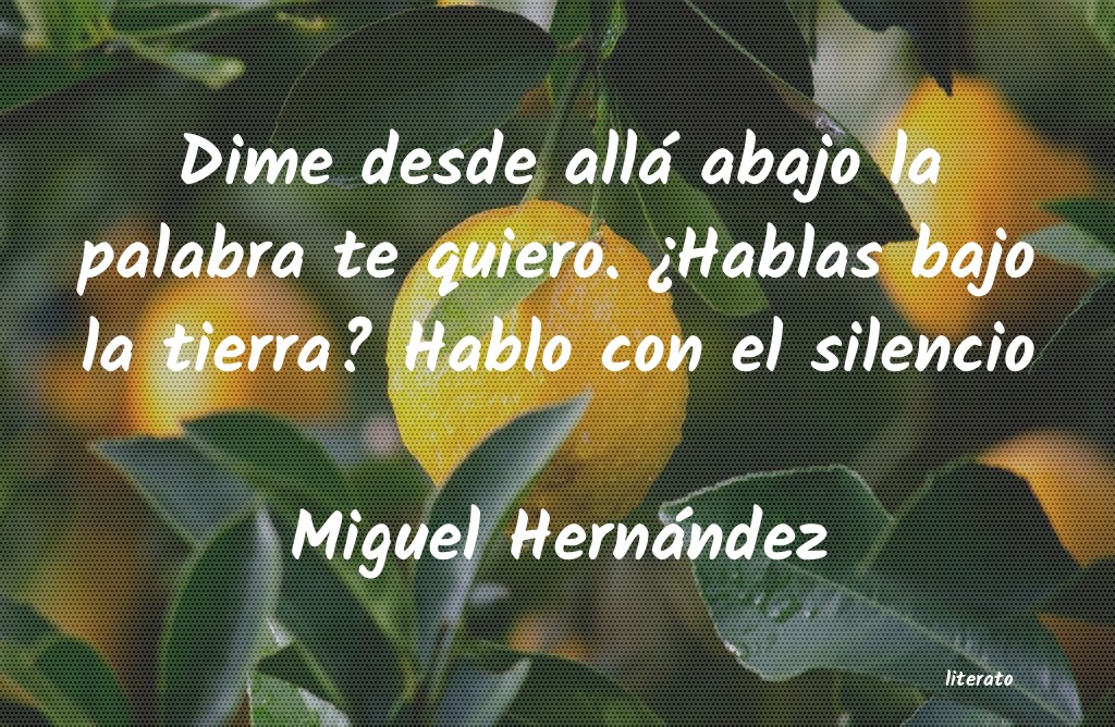 Frases de Miguel Hernández