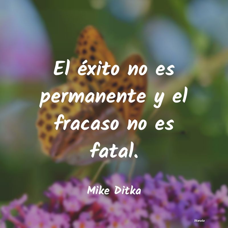 frases de Mike Ditka