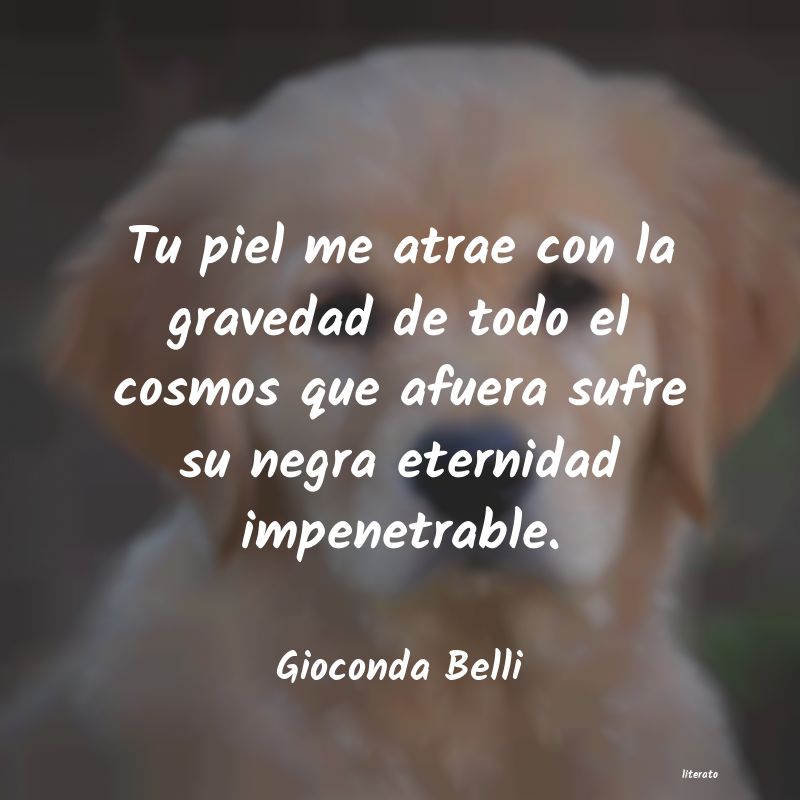 Frases de Gioconda Belli