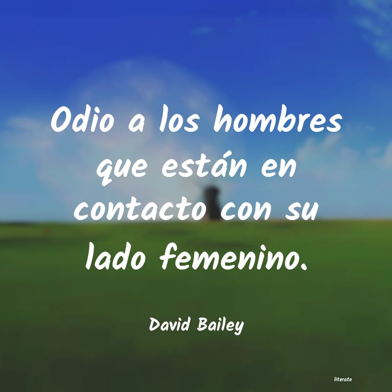 Frases de David Bailey