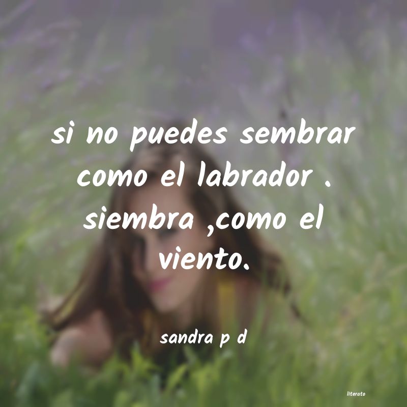 Frases de sandra p d