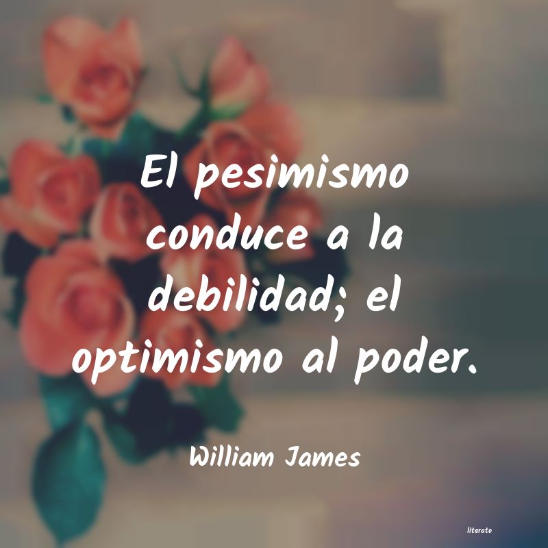 Frases de William James