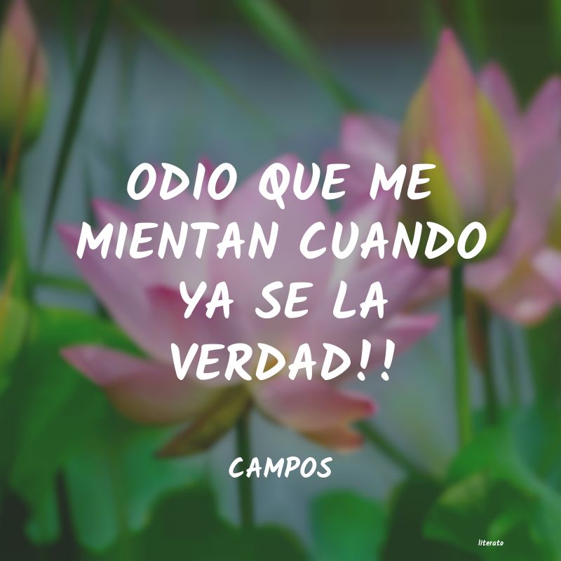 Frases de CAMPOS