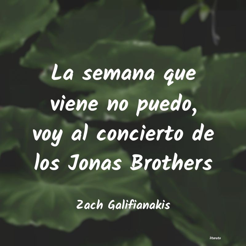 Frases de Zach Galifianakis