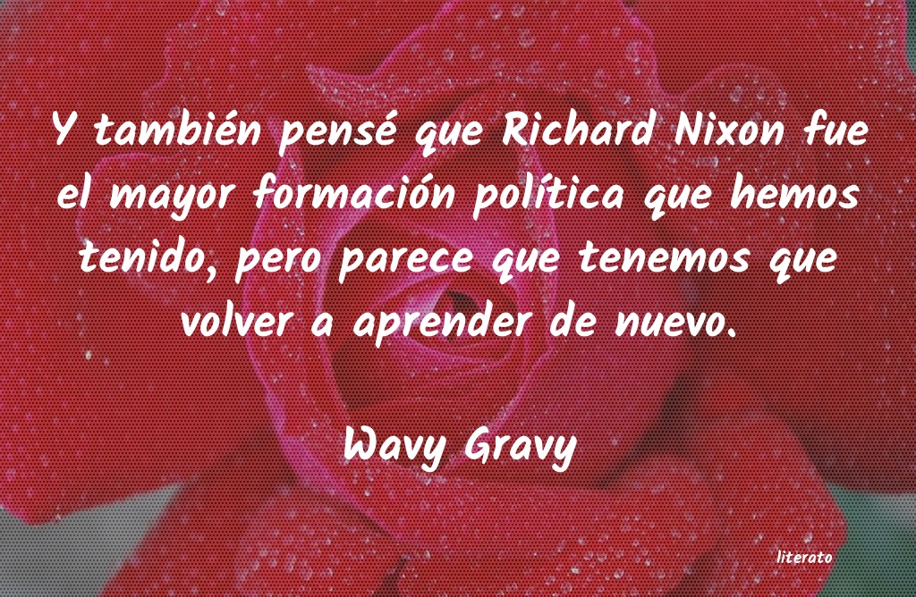 Frases de Wavy Gravy