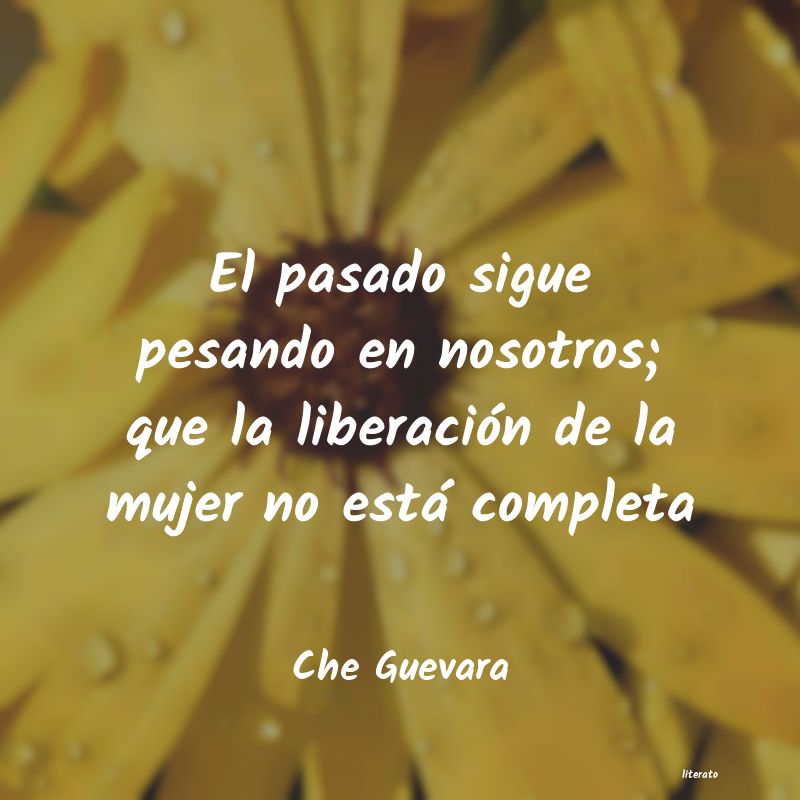 Frases de Che Guevara