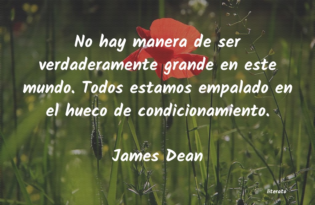 Frases de James Dean