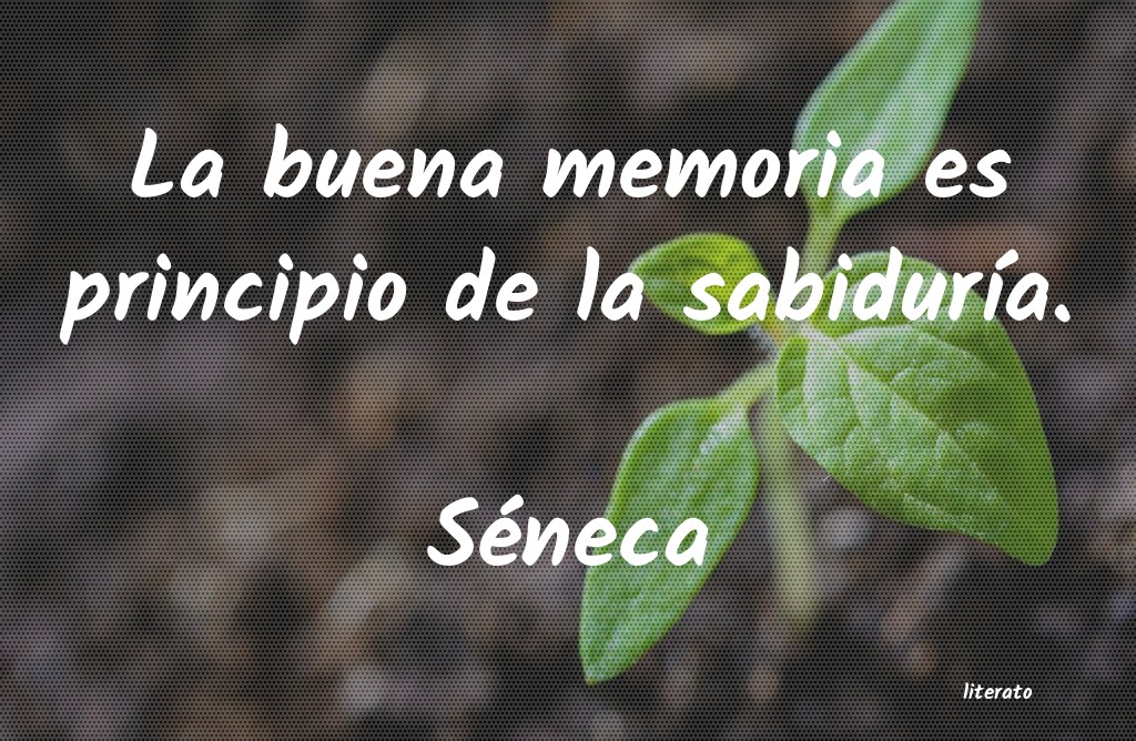 frases de SÃ©neca
