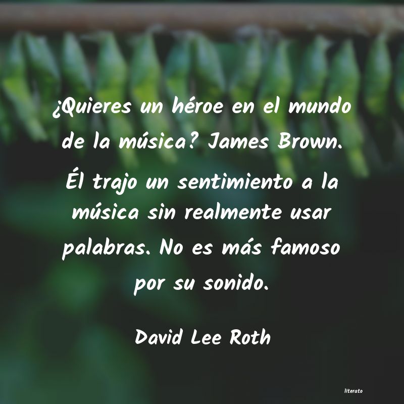 frases de David Lee Roth